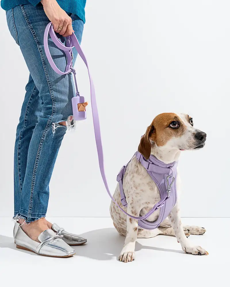 Pet Harness Collar Leash Set