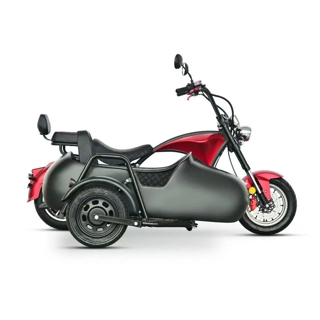 Waterproof 60V 4000W Electric Bike Sidecar for Adults