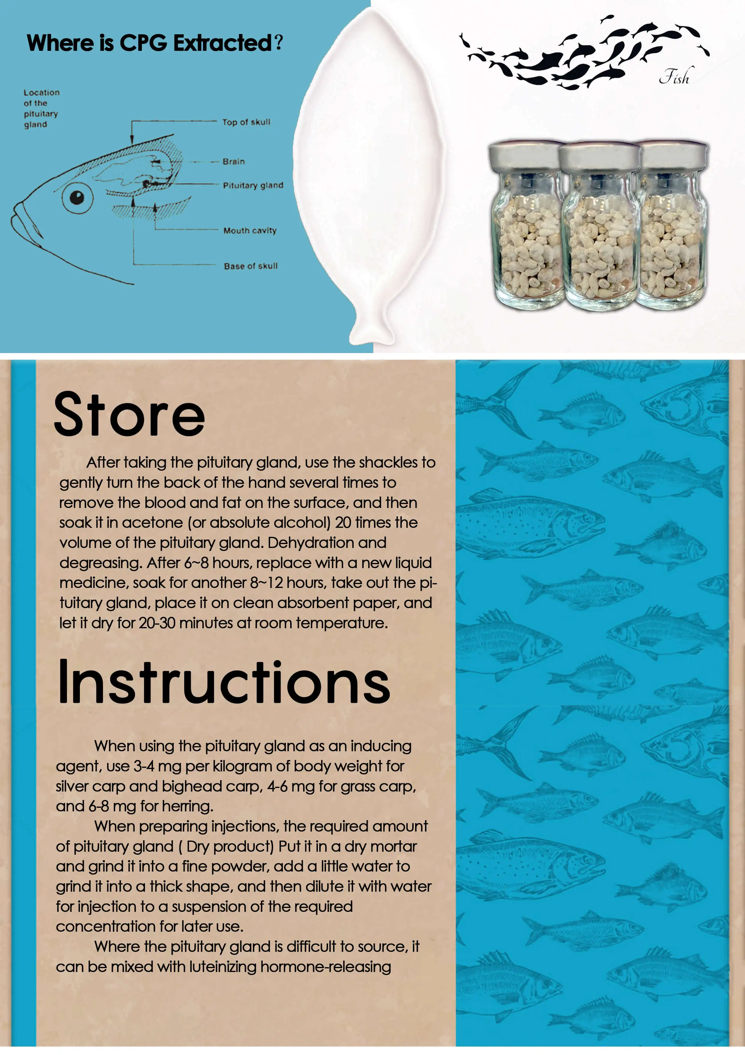 Fish Spawning Artificial Extract Common Carp Pituitary Gland