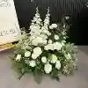 Bianco Verde 06