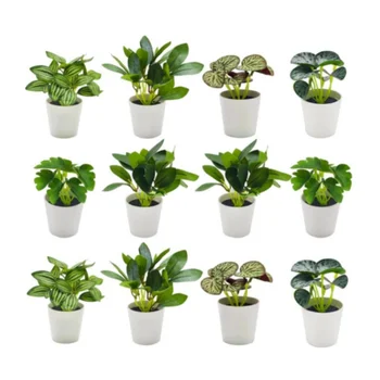 Artificial Plants for Home Decor Indoor Small Plants 12pcs set for Living Room Potted Plant for Shelf Home Office Decoration