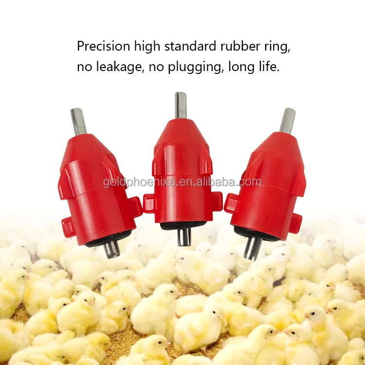 Jodi Lin OKif porno filmda It uslubida jinsiy aloqada bolgan ayollarni tomosha qiling