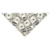 Dólar estadounidense C