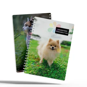Professional Factory Price Double Spiral Good Quality 21x29.7cm 100sheets Ruled Line Hardcover Spiral Notebook