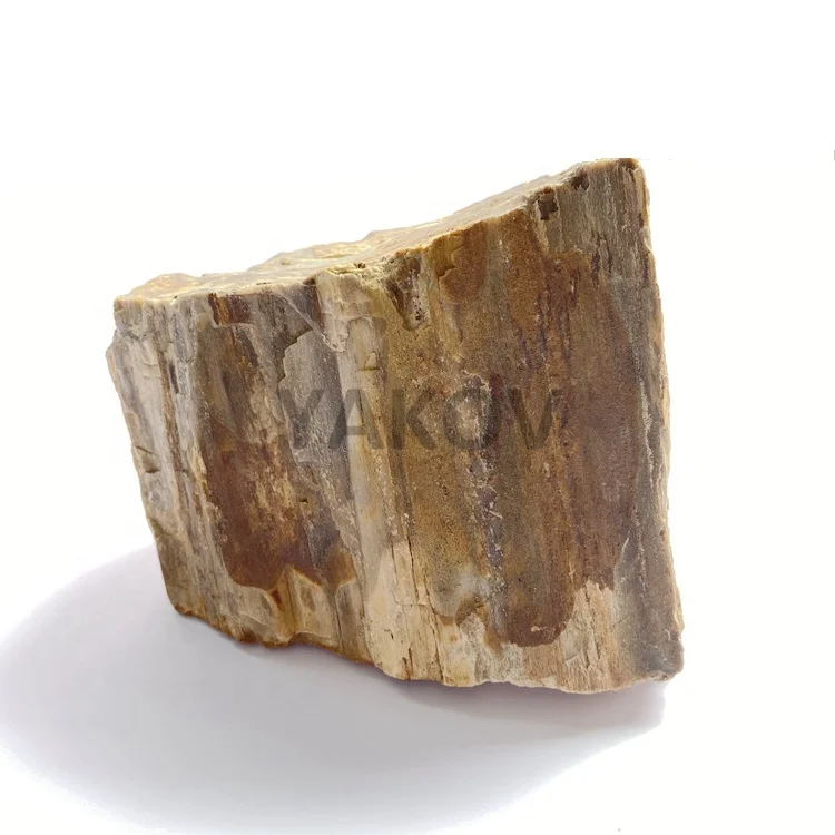 Natural Wood Stone Aquarium Rocks Petrified Wood from China