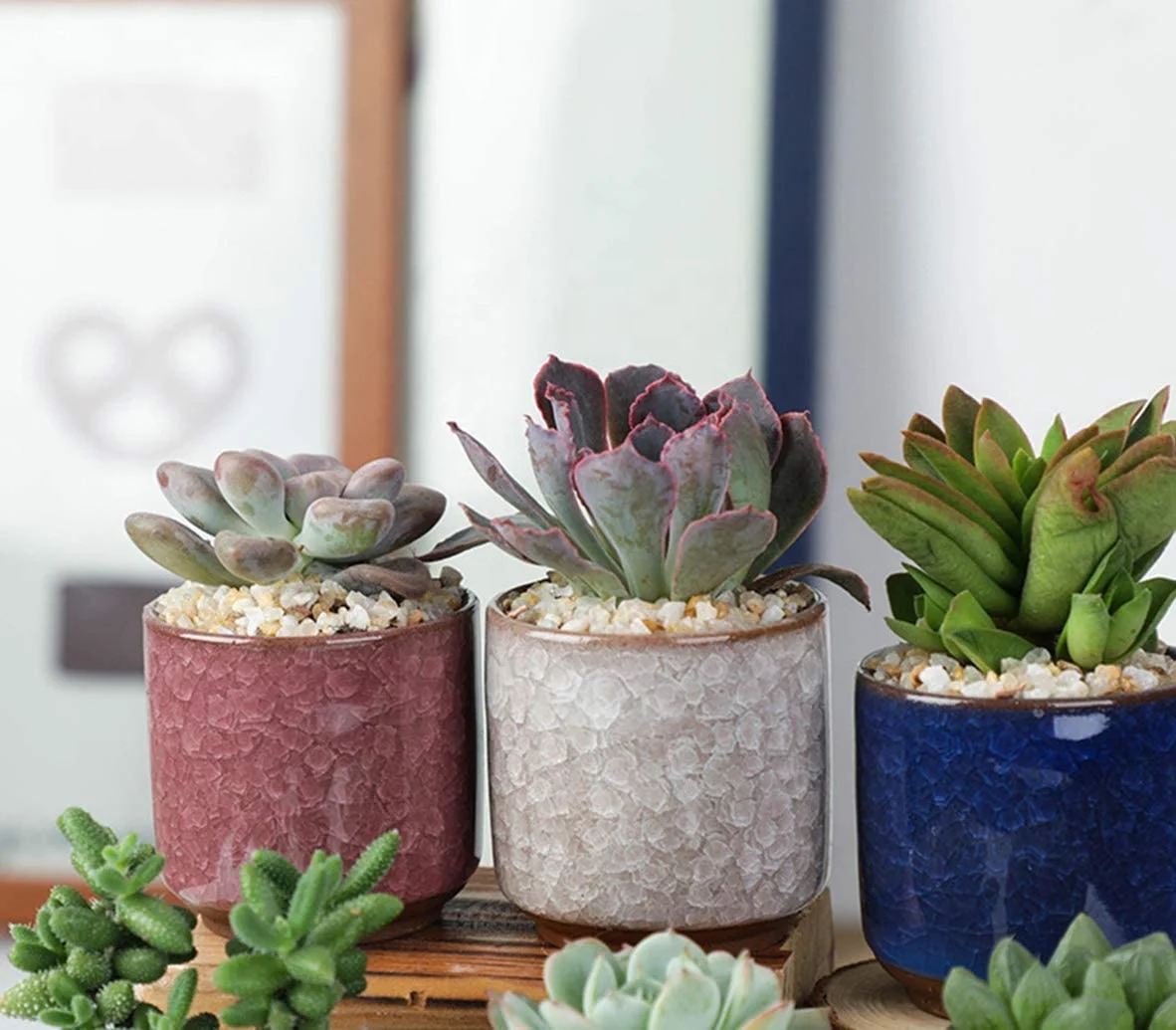 2.5 Inch Ceramic Ice Crack Glaze Korean Succulent Pots