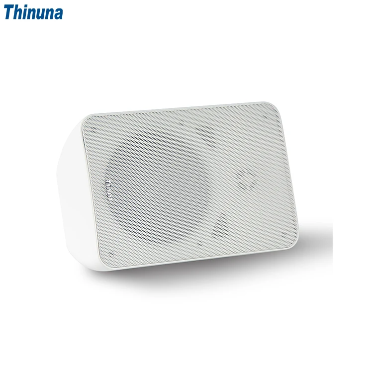 Thinuna WS6-BT Commercial PA System Wall Mount BT Speaker AC 110v-240v Waterproof Bluetooth Wall Speaker for Outdoor Application