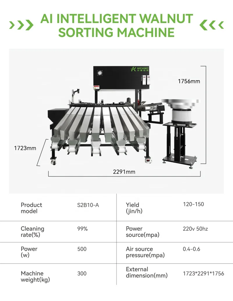 Manufacturer Cheapest Walnut Inshell Paper Wallnut Color Sorter Sorting Machine