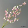 Dancing orchid