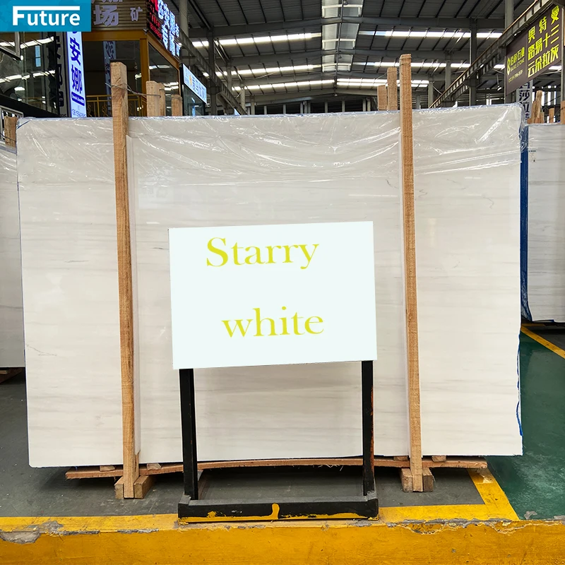 Natural Stone Star White Marble Cut to Size Water-jet Marble Slabs for Villa Bathroom Livingroom Wall Panel Marble Mosaic Tile