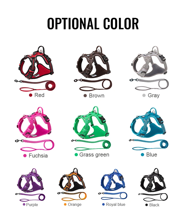 Truelove Classic 2023 Best Sell Adjustable Dog Harness And Leash Collar