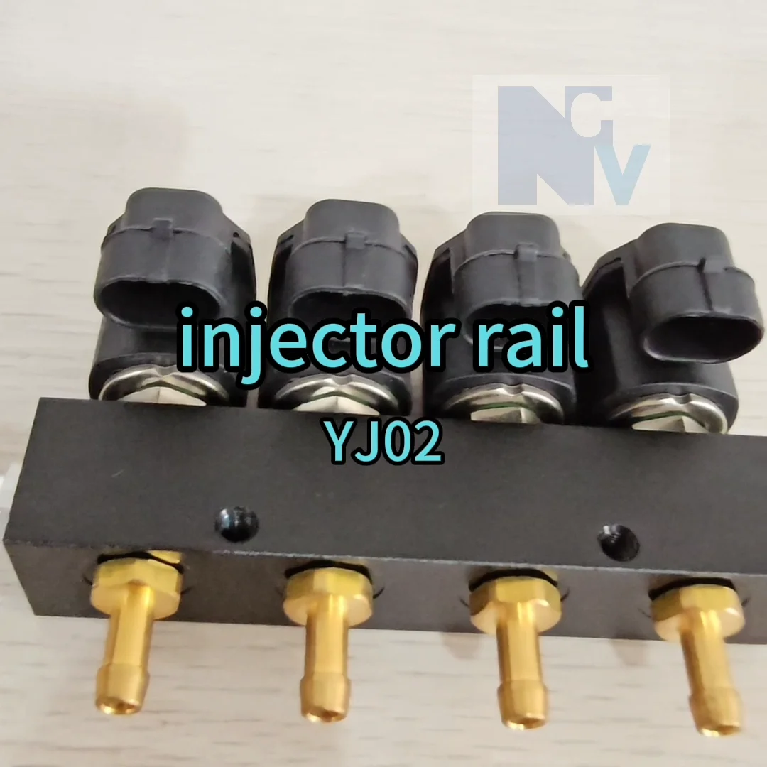 Auto Gas Kit Injector Rail 2ohm Car Injector Conversion Kit Gnv Glp Gas