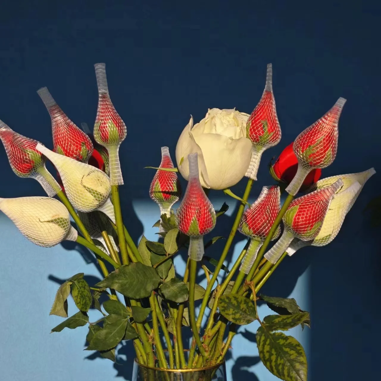 Eco-friendly Factory Produce Protection Rose Bud Flower Wrap Foam Soaks Net