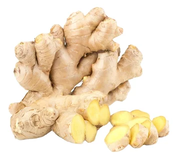 High Quality Chinese Yellow Ginger Fresh Ginger for sale from Shandong