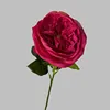 สีแดงกุหลาบ