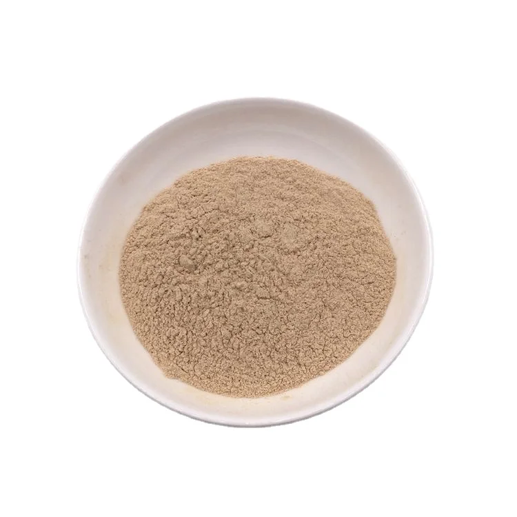 Новый Урожай чистого Обезвоженного грибкового порошка