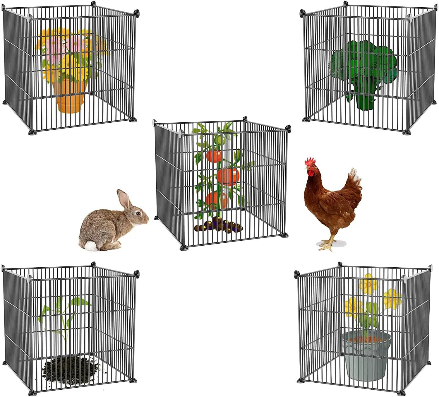 Garden Plant Chicken Wire Protectors Plant Cages For Plants And