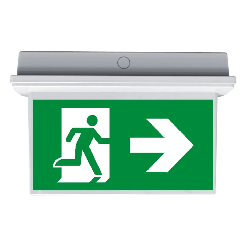 Встраиваемая аварийная лампа IP23 IP43 IP54 Италия Греция Испания Норвегия Швеция Швейцария Голландия Германия Великобритания Австрия