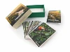 012_Amazonas