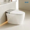 White-Basic Version