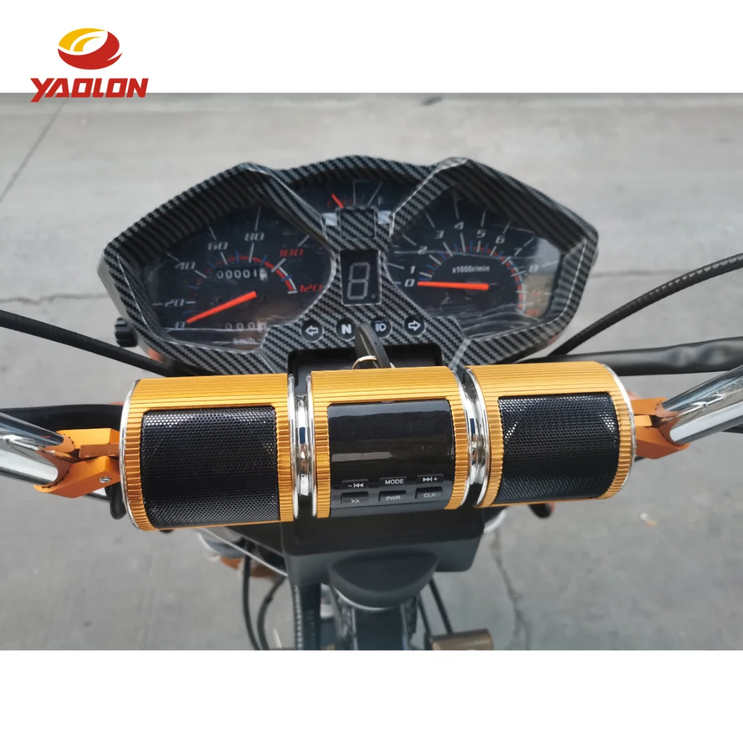 YAOLON Super Design Gasoline Tricycle 250CC Tricycle Petrol diesel Cargo Motorized Tricycle