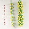 1 meter long, 16 lemons with leaves