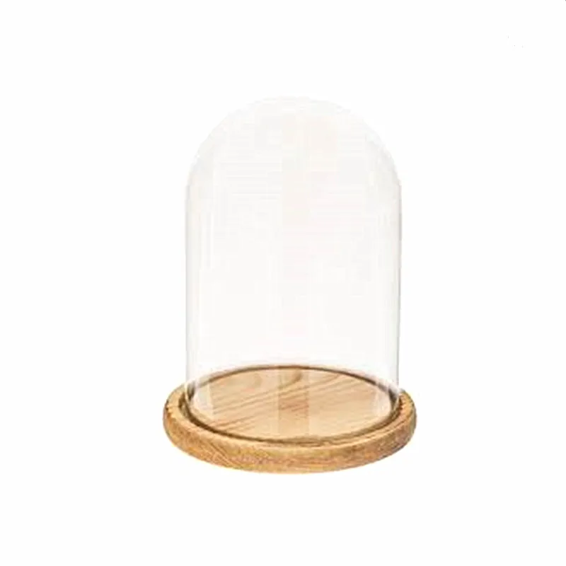 
 Торговая гарантия стеклянный купол колокол с деревянной основой хорошая цена  