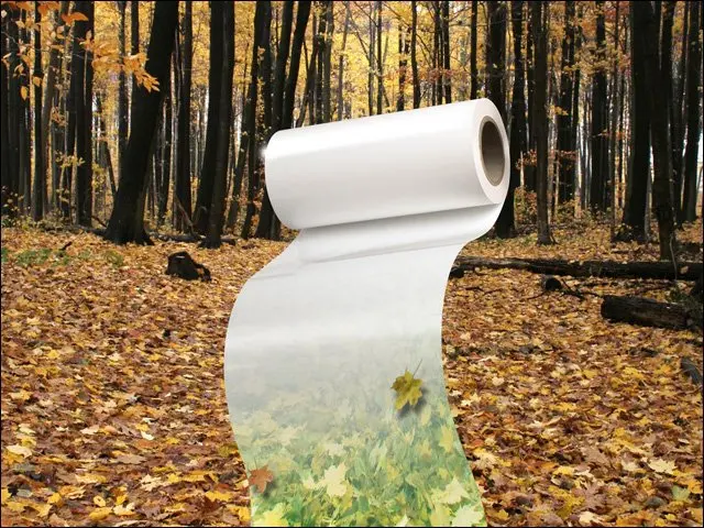 Best price Good Price 100% Biodegradable Thermoforming Polylactic Acid PLA Sheet