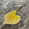 Yellow white