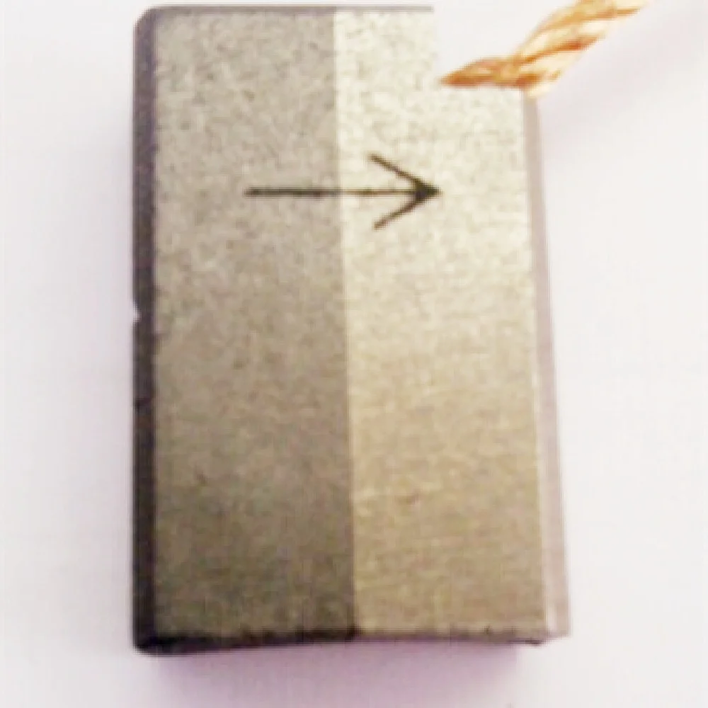 AG20/LFC554 Carbon Brush for Generators - Silver Graphite DC Motor