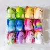Salamander set-12 pieces