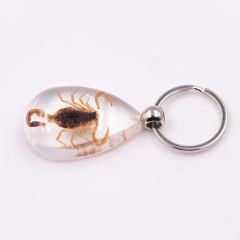 newest trending real insect charm pendant| Alibaba.com