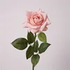 Marrone Rosa