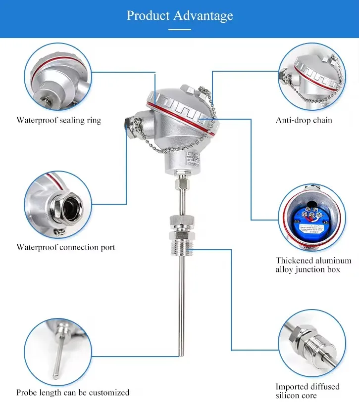 Integrated Digital Display Industrial ATEX Temperature Sensor