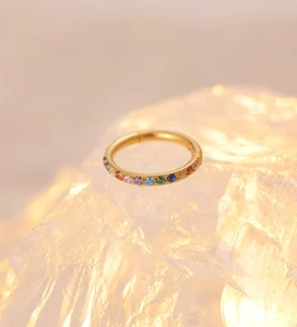 F136 Titanium Hoop with CZ Pave Wholesale Hinged Segment Nose Rings Earrings Body Jewelry for Women