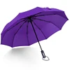 Violeta