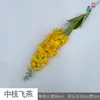 ŒIL (Jaune)