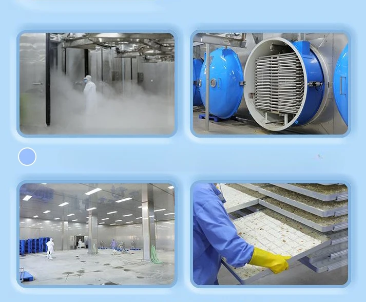 1kg Bulk Mixed Freezedry Vegetables And Fruits Including Dried Cashew