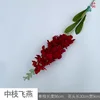 ŒIL (Rouge)