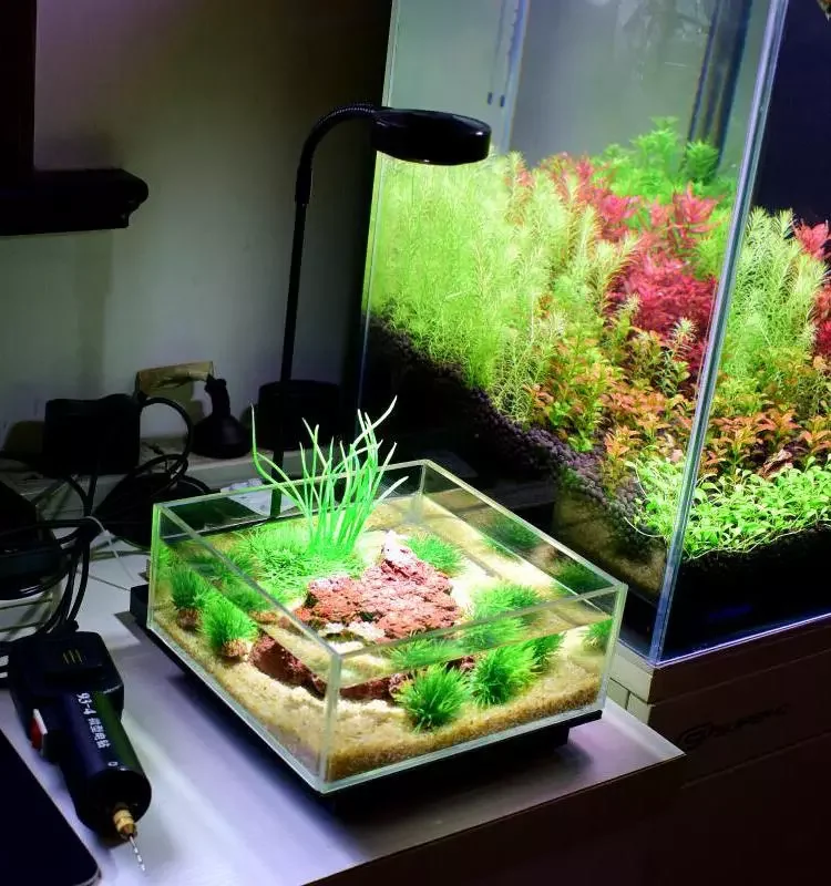 Board Freshwater Fish Tank Lamp Vivarium Terrarium Light Planted