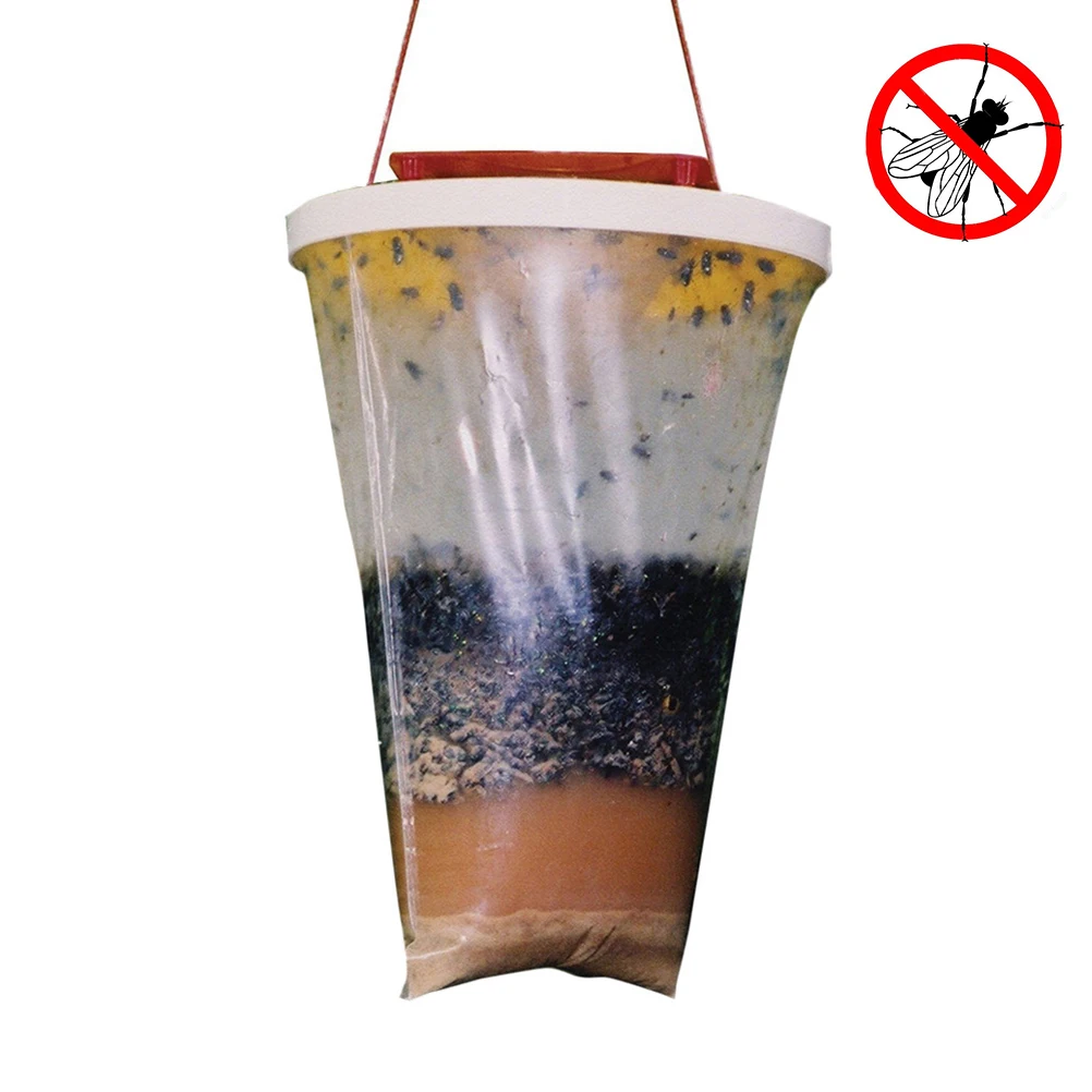 hanging fly trap