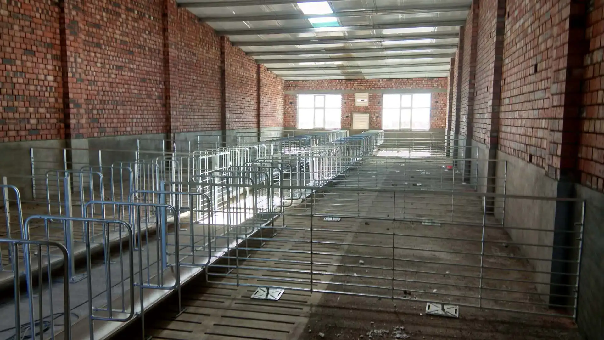 Animal Cages pig fatten cage pig fattening cages finishing Crate Wean To Finish Stalls For Pigs