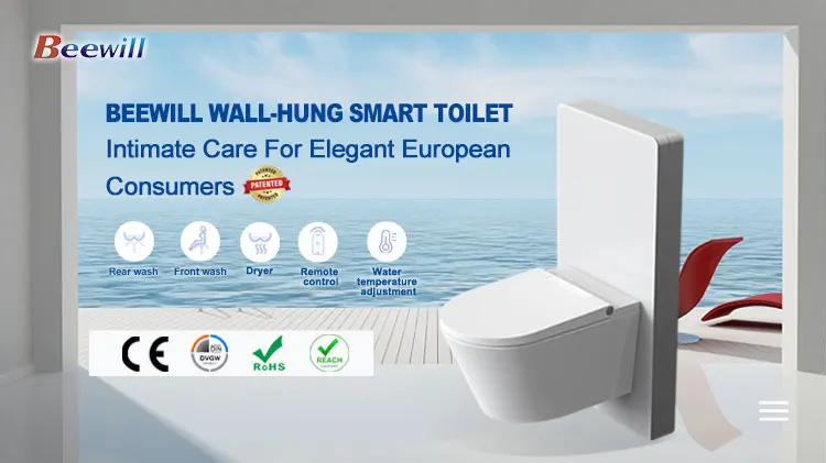 heated bidet toilet introduction heated bidet toilet introduction