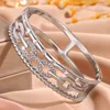 Silver B50900021