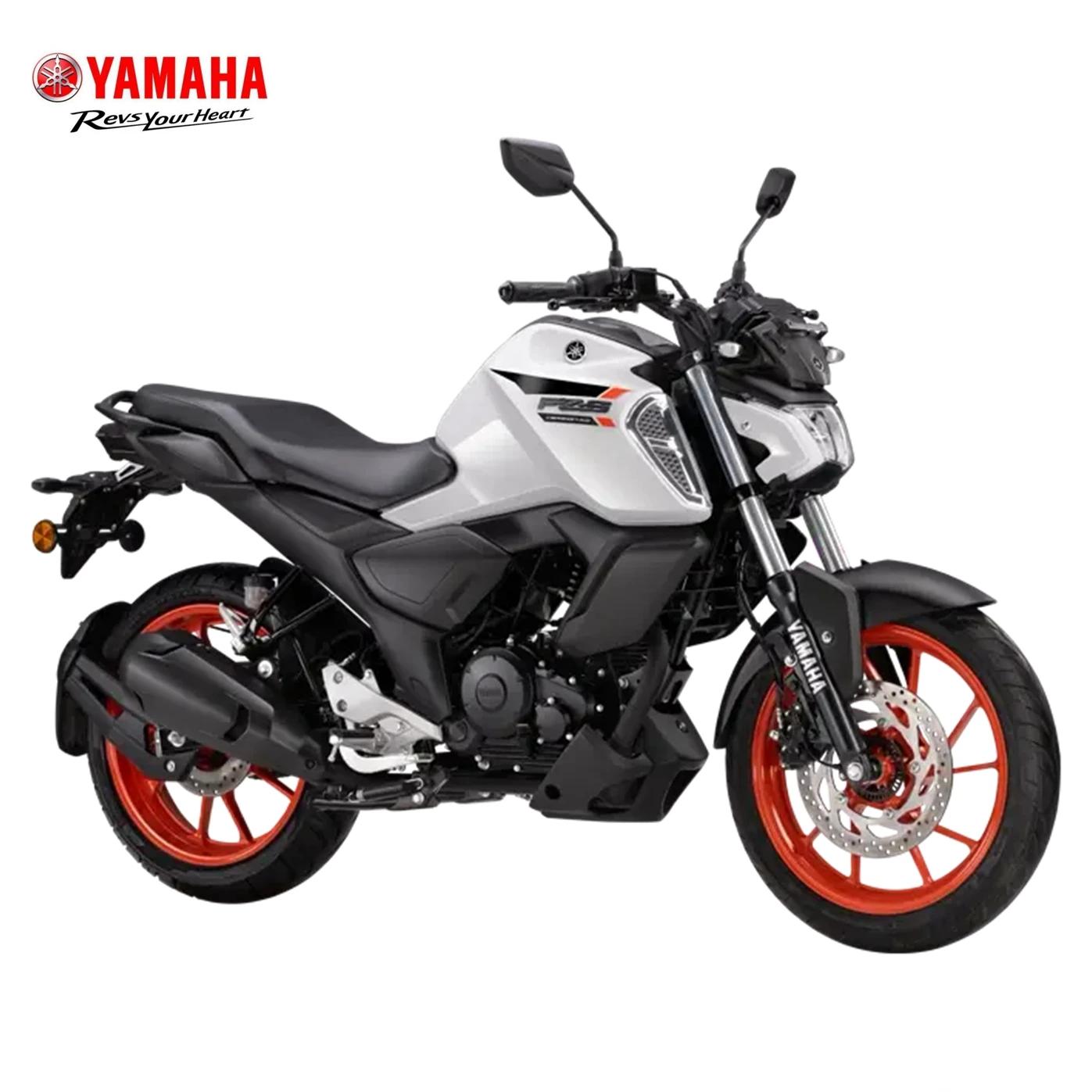 新型 インディア ヤマハ FZS-FI 150 DLX ストリートバイク 165mm地上高