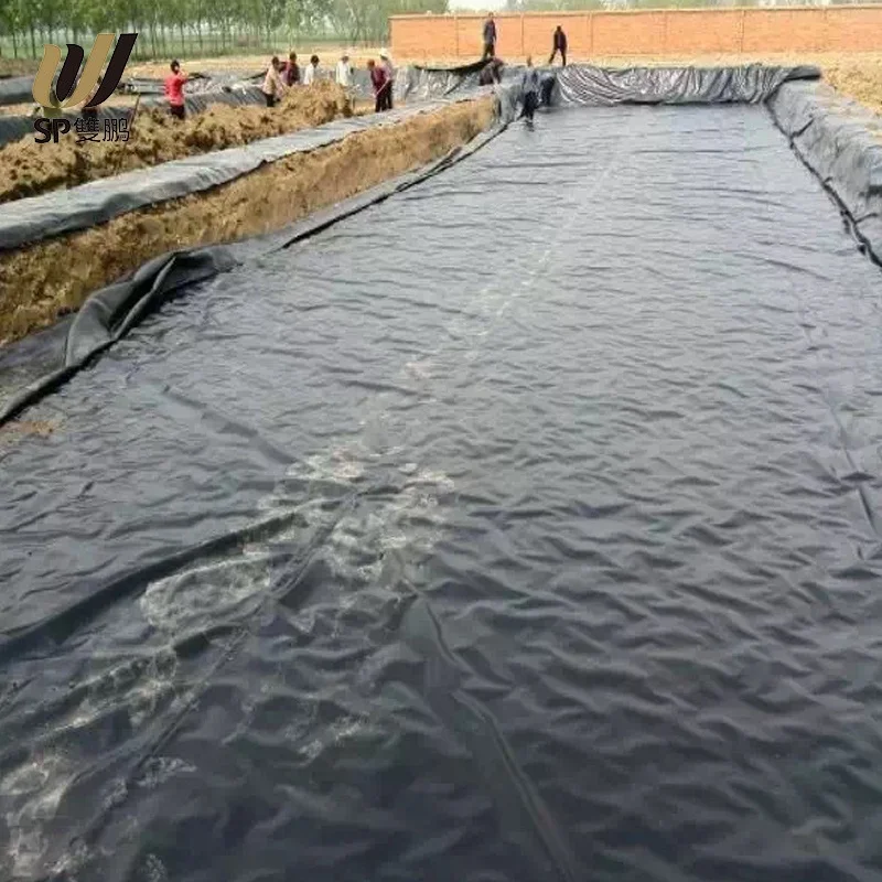 SP အမြင့်ဆုံး လှုပ်ရှားမှု 60-400 Gsm Anti Aging Sand Ground Cover Geotextile Woven Fabric Tarpaulin