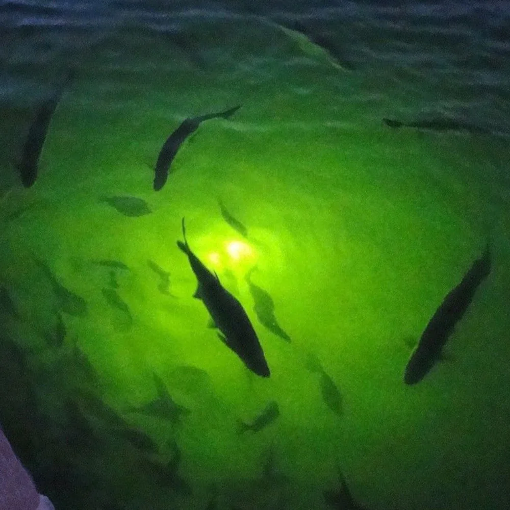 Hanchen LED Unterwasser-Angellampe – 60W, Dimmbar, IP68 Wasserdicht Für Nachtfischerei