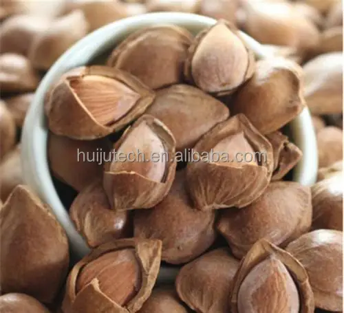Hard Nuts Shell Removing Sheller Apricot Shelling Cracker Peach Cracking Machine for Almond Walnut Hazelnut Palm Kernel