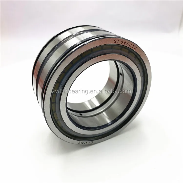 Full Complement Cylindrical Roller Bearing SL04 5019 PP SL04 5020 PP Bearing