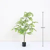 Poplar tree - 120cm
